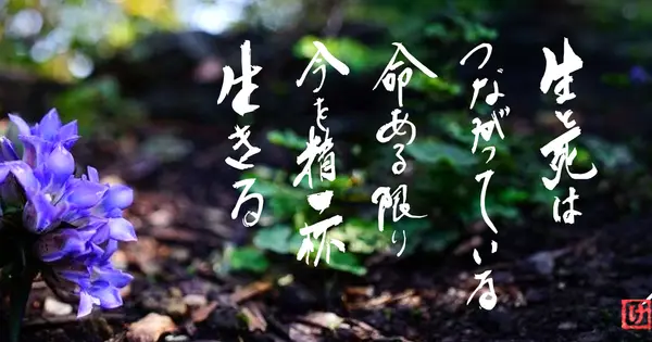 174148.co.jp の OGP 画像（縮小したコピー）
