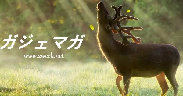2week.net の OGP 画像(縮小したコピー)