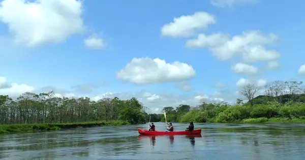 946river.com の OGP 画像(縮小したコピー)