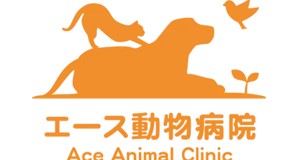 ace-ah.com の OGP 画像（縮小したコピー）