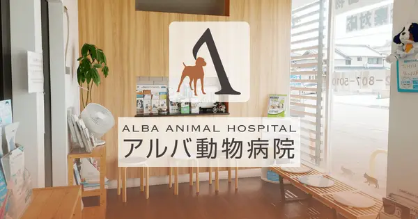alba-ah.com の OGP 画像（縮小したコピー）