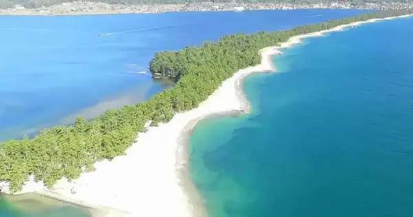 amanohashidate-dmc.com の OGP 画像(縮小したコピー)