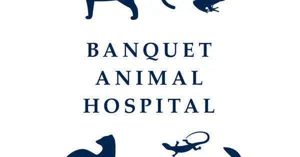 banquet-tokyo.jp の OGP 画像(縮小したコピー)