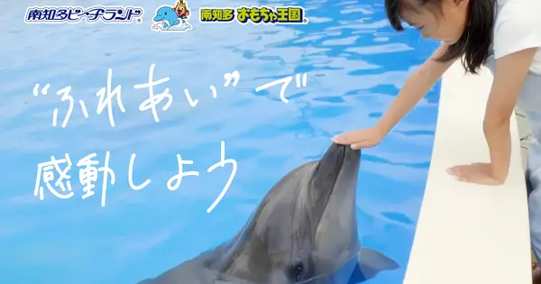 beachland.jp の OGP 画像(縮小したコピー)
