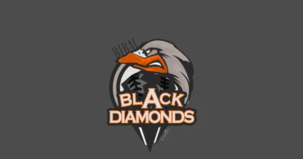 bibai-blackdiamonds.com の OGP 画像(縮小したコピー)