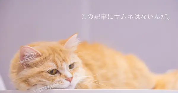 blog.56doc.net の OGP 画像(縮小したコピー)