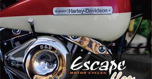 blog.escape-bike.jp の OGP 画像(縮小したコピー)