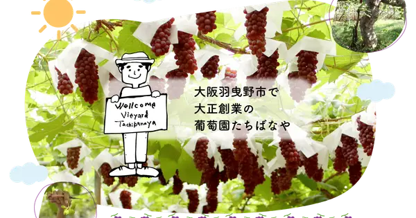 budou-t.com の OGP 画像(縮小したコピー)