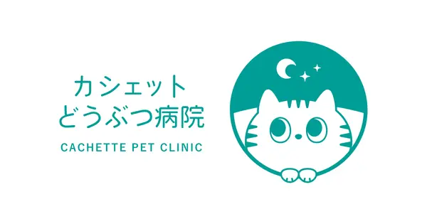 cachette-pc.com の OGP 画像(縮小したコピー)
