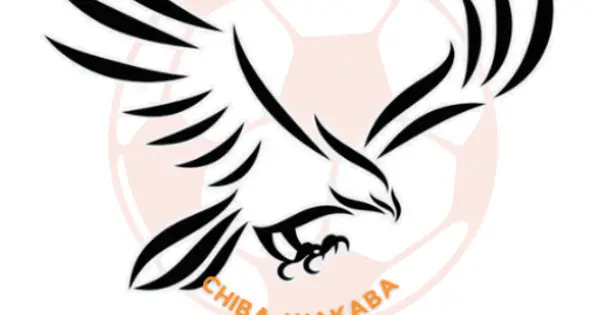 chibaeagles.jp の OGP 画像（縮小したコピー）