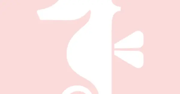 cocojam.jp の OGP 画像(縮小したコピー)