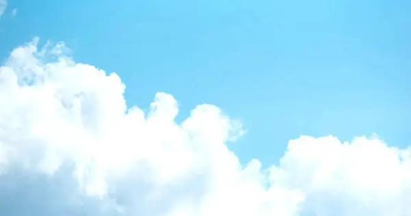 cocoromi-mental.jp の OGP 画像(縮小したコピー)