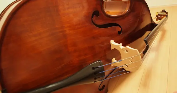 contrabassbeginner.com の OGP 画像(縮小したコピー)
