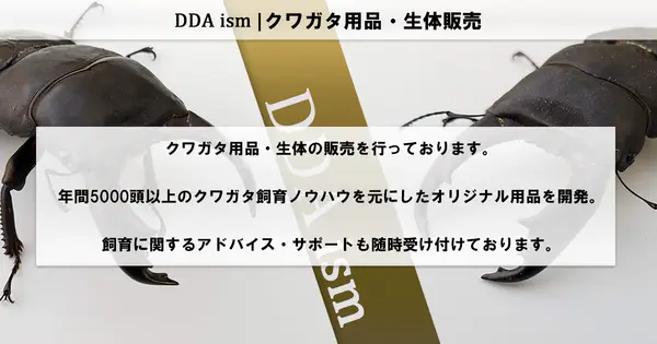 ddaism.com の OGP 画像(縮小したコピー)