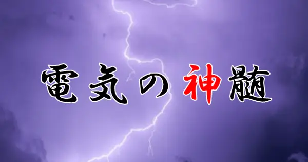 denki-no-shinzui.com の OGP 画像(縮小したコピー)