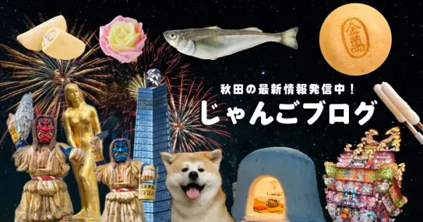 dochaku.com の OGP 画像(縮小したコピー)