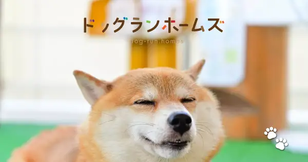 dog-run.homes の OGP 画像(縮小したコピー)