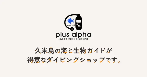 ds-plusalpha.com の OGP 画像(縮小したコピー)