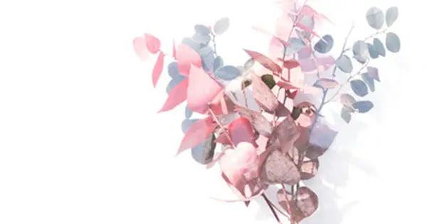 e-cocooo.com の OGP 画像(縮小したコピー)
