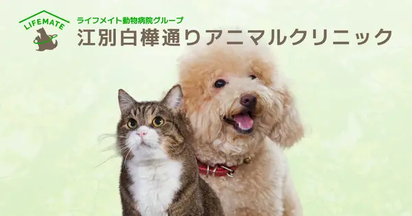 ebetsu.lifemate-vh.com の OGP 画像(縮小したコピー)
