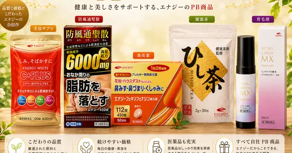 energy-japan.info の OGP 画像(縮小したコピー)