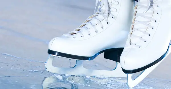 figureskating.tororinnao.info の OGP 画像(縮小したコピー)