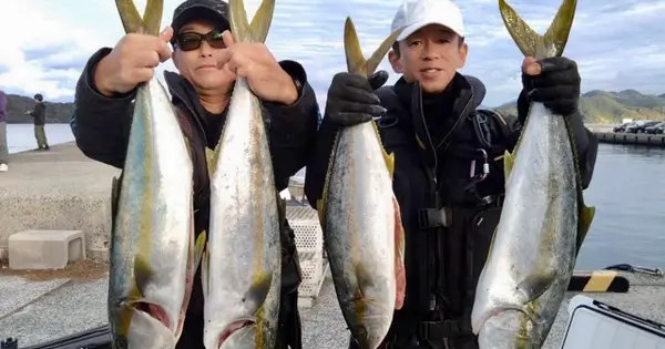 fishing-red.com の OGP 画像(縮小したコピー)