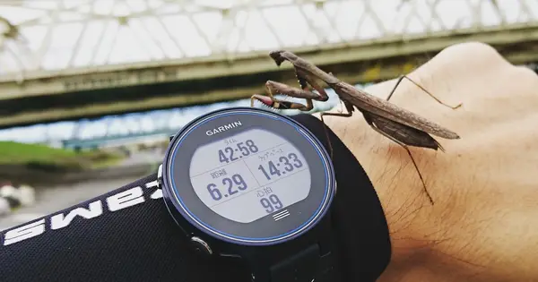 garmin.space の OGP 画像(縮小したコピー)