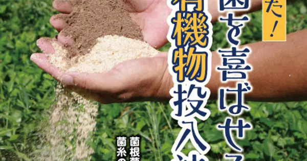 gn.nbkbooks.com の OGP 画像(縮小したコピー)