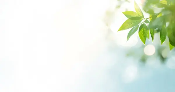 gotokuji-seikeigeka.com の OGP 画像(縮小したコピー)