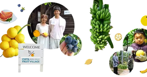 grapefruit.co.jp の OGP 画像（縮小したコピー）