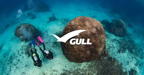 gull.kinugawa-net.co.jp の OGP 画像(縮小したコピー)