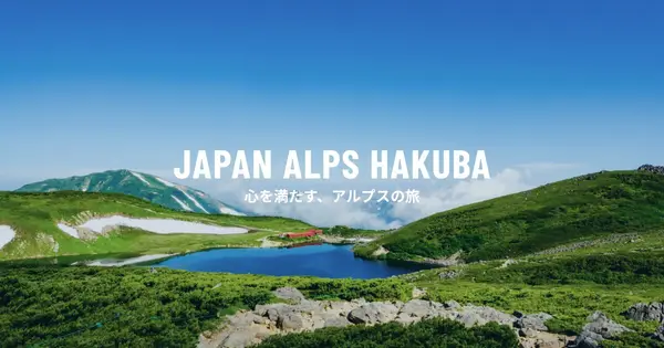 hakubakan.com の OGP 画像（縮小したコピー）