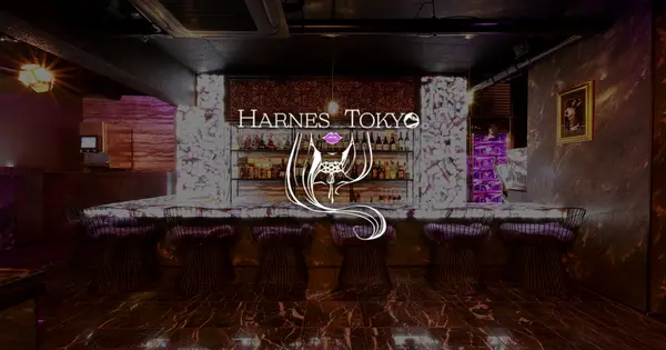 harnes.tokyo の OGP 画像(縮小したコピー)