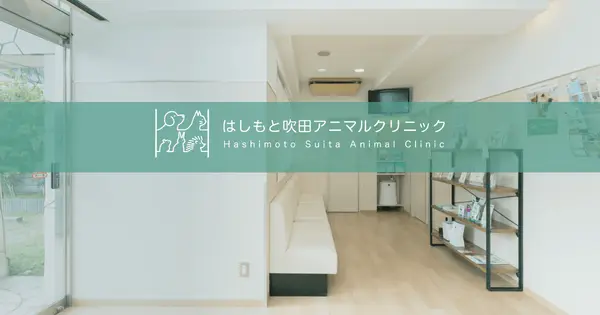 hashimoto-suita-ac.com の OGP 画像（縮小したコピー）