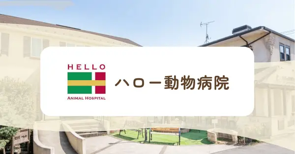 hello-doubutsu.com の OGP 画像(縮小したコピー)