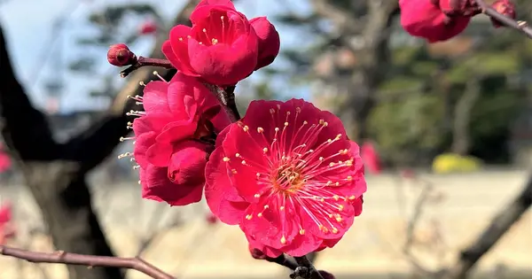 higashinada-journal.com の OGP 画像（縮小したコピー）