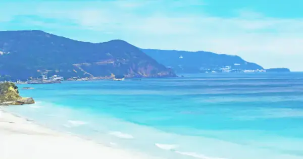 hotel-izukyu.co.jp の OGP 画像(縮小したコピー)