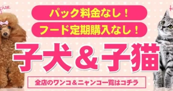 hug.i-ll-net.com の OGP 画像(縮小したコピー)