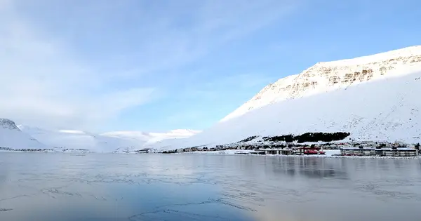iceland-market.com の OGP 画像(縮小したコピー)