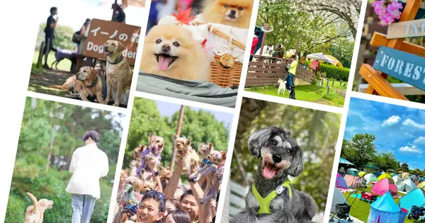 inoforest-dog.com の OGP 画像（縮小したコピー）