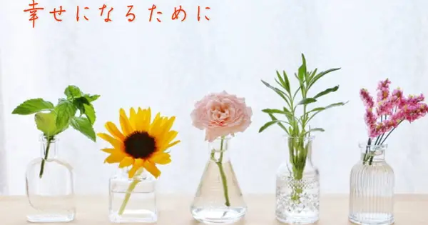 jp-max.com の OGP 画像(縮小したコピー)