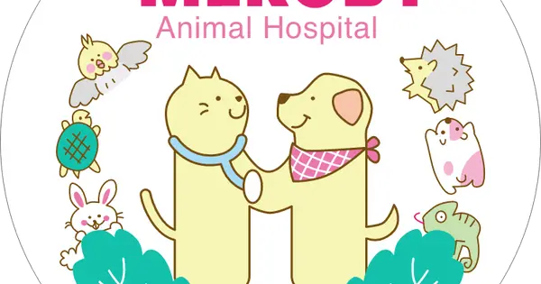 k-meruby.com の OGP 画像(縮小したコピー)
