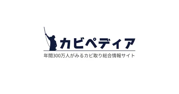 kabipedia.com の OGP 画像(縮小したコピー)