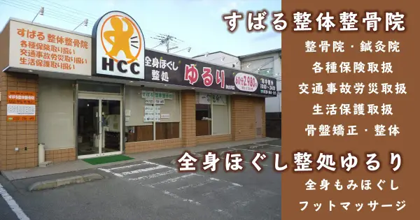 kakogawa-seikotsuin.com の OGP 画像(縮小したコピー)