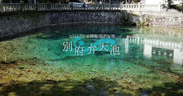 karusuto.com の OGP 画像（縮小したコピー）