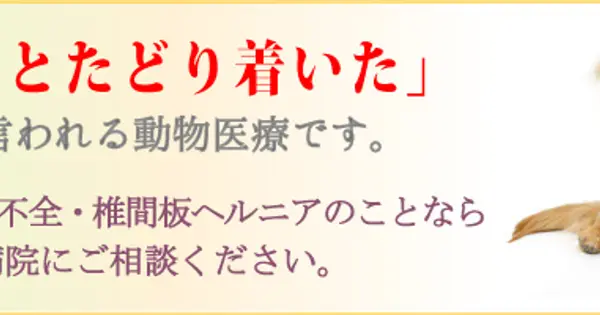 kiki-petclinic.com の OGP 画像(縮小したコピー)
