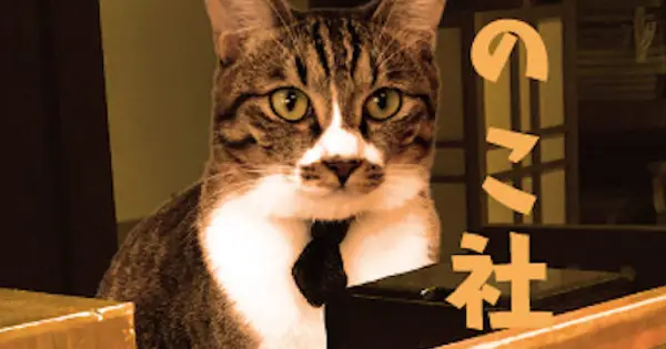 kinokosya.com の OGP 画像(縮小したコピー)