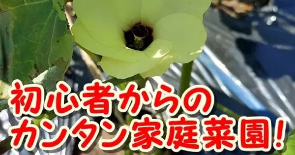 kitanomaron.com の OGP 画像(縮小したコピー)