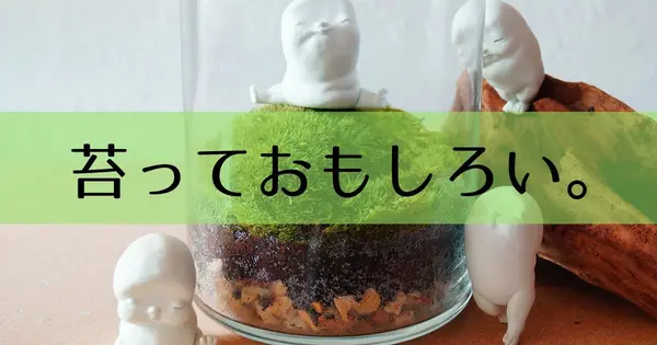 kokelog.com の OGP 画像(縮小したコピー)